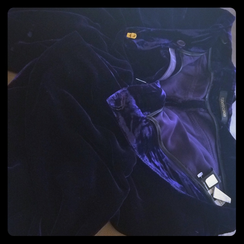 Like new purple velvet Roberto Cavalli Pants 44